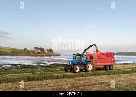 Rathclaran, West Cork, Irlande. 13th mai 2022. Alors que le soleil se couche et que la lune se lève, Patrick O'Donovan, un entrepreneur basé à West Cork, utilise une moissonneuse New Holland FR550 pour collecter de l'ensilage pour le producteur laitier Declan O'Donovan dans sa ferme près de Rathclaran, West Cork. Declan laitait 100 vaches et espère que 3 coupes d'ensilage seront effectuées cette année. Crédit : AG News/Alay Live News Banque D'Images