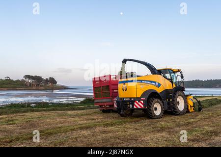 Rathclaran, West Cork, Irlande. 13th mai 2022. Alors que le soleil se couche et que la lune se lève, Patrick O'Donovan, un entrepreneur basé à West Cork, utilise une moissonneuse New Holland FR550 pour collecter de l'ensilage pour le producteur laitier Declan O'Donovan dans sa ferme près de Rathclaran, West Cork. Declan laitait 100 vaches et espère que 3 coupes d'ensilage seront effectuées cette année. Crédit : AG News/Alay Live News Banque D'Images