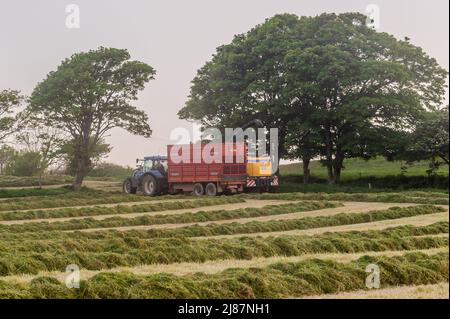 Rathclaran, West Cork, Irlande. 13th mai 2022. Alors que le soleil se couche et que la lune se lève, Patrick O'Donovan, un entrepreneur basé à West Cork, utilise une moissonneuse New Holland FR550 pour collecter de l'ensilage pour le producteur laitier Declan O'Donovan dans sa ferme près de Rathclaran, West Cork. Declan laitait 100 vaches et espère que 3 coupes d'ensilage seront effectuées cette année. Crédit : AG News/Alay Live News Banque D'Images