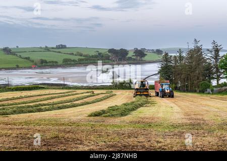 Rathclaran, West Cork, Irlande. 13th mai 2022. Alors que le soleil se couche et que la lune se lève, Patrick O'Donovan, un entrepreneur basé à West Cork, utilise une moissonneuse New Holland FR550 pour collecter de l'ensilage pour le producteur laitier Declan O'Donovan dans sa ferme près de Rathclaran, West Cork. Declan laitait 100 vaches et espère que 3 coupes d'ensilage seront effectuées cette année. Crédit : AG News/Alay Live News Banque D'Images