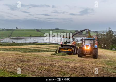 Rathclaran, West Cork, Irlande. 13th mai 2022. Alors que le soleil se couche et que la lune se lève, Patrick O'Donovan, un entrepreneur basé à West Cork, utilise une moissonneuse New Holland FR550 pour collecter de l'ensilage pour le producteur laitier Declan O'Donovan dans sa ferme près de Rathclaran, West Cork. Declan laitait 100 vaches et espère que 3 coupes d'ensilage seront effectuées cette année. Crédit : AG News/Alay Live News Banque D'Images