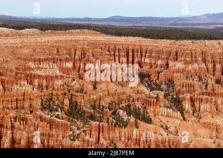 Les cheminées à Bryce Canyon National Park Banque D'Images