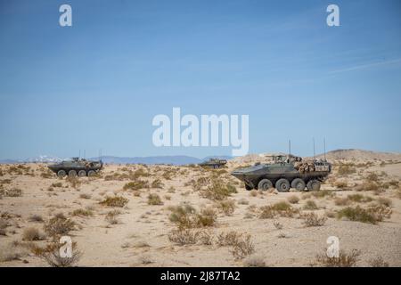 U.S. Marines with Bravo Company, 3D Assault Amphibian Battalion, 1st Marine Division, mènent des opérations urbaines pendant l'exercice de combat (MWX) de la Marine corps Air Ground Task Force (MAGTF) 3-22 au Marine corps Air Ground combat Centre Twentynine Palms, Californie, le 6 mai 2022. MWX est un exercice de force sur la force qui met la division au défi de se battre à grande échelle contre un adversaire de pensée libre. (É.-U. Photo du corps marin par Cpl. Jacob Yost) Banque D'Images