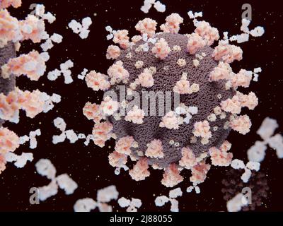 Anticorps se liant aux virus Covid-19, illustration Banque D'Images