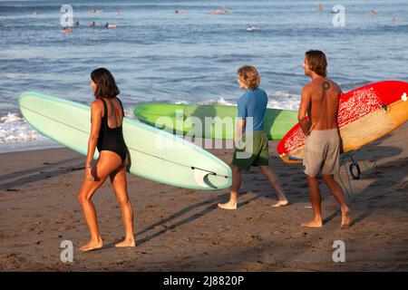 Trois personnes, locales et caucasiennes marchant vers l'océan transportant des planches de surf à Batu Bolong Beach à Canggu, Bali, Indonésie. Banque D'Images