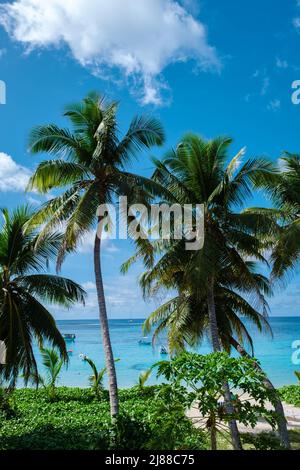 Mahé Seychelles, une plage tropicale avec des palmiers, et un océan bleu à Mahé Seychelles. Anse Royale plage Seychelles Mahé Banque D'Images