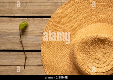 Chapeau de paille pour femmes et une branche d'un arbre avec des feuilles vertes se trouvent sur une table en bois, été et loisirs, accessoires de mode pour femmes Banque D'Images