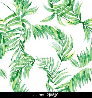 Chamaedorea feuille de palmier aquarelle sans coutures. Illustration botanique du feuillage vert tropical sur fond isolé. Toile de fond exotique. L'été fa Banque D'Images