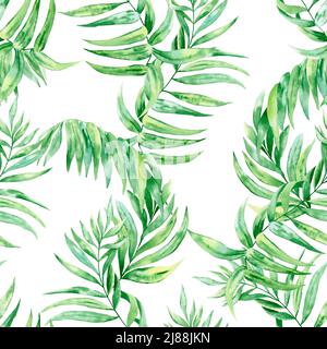 Chamaedorea feuille de palmier aquarelle sans coutures. Illustration botanique du feuillage vert tropical sur fond isolé. Toile de fond exotique. L'été fa Banque D'Images