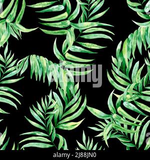 Chamaedorea feuille de palmier aquarelle sans coutures. Illustration botanique du feuillage vert tropical sur fond isolé. Toile de fond exotique. L'été fa Banque D'Images