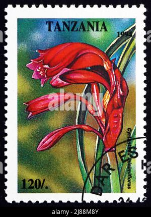 TANZANIE - VERS 1994 : un timbre imprimé en Tanzanie montre Cyrtanthus Minimiflorus, Plant, vers 1994 Banque D'Images