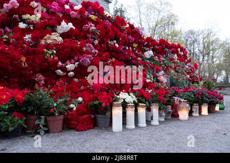 Énorme pile de fleurs rouges et de bougies. Les anciens combattants de l'Armée rouge célèbrent le jour de la victoire en apportant des fleurs de la nation rouge Banque D'Images