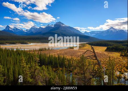 Point de vue du col Howse dans le parc national Banff, Canada Banque D'Images