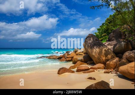 La plage d'Anse Georgette sur l'île de Praslin, Seychelles Banque D'Images