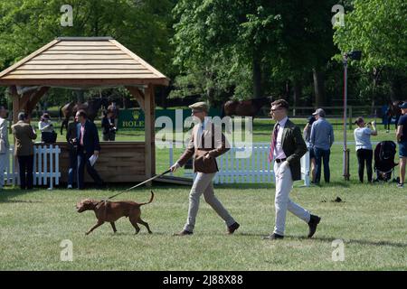 Windsor, Berkshire, Royaume-Uni. 14th mai 2022. Les clients et les concurrents ont profité aujourd'hui d'une journée sous le soleil chaud au Royal Windsor Horse Show situé dans le domaine privé du château de Windsor. Crédit : Maureen McLean/Alay Live News Banque D'Images