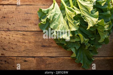 Jeunes feuilles de rhubarbe fraîches sur une ancienne table en bois. Vue de dessus. Plats végétariens. La plante médicinale est utile pour le système cardiovasculaire. Banque D'Images