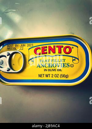 Gros plan d'une boîte d'anchois Centro, 2022, Banque D'Images
