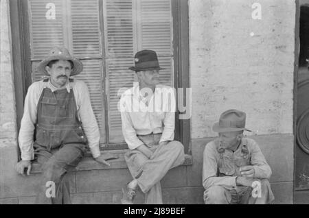 Frank Tengle, Bud Fields, et Floyd Burroughs, sharecroppers de coton, Comté de Hale, Alabama. Banque D'Images