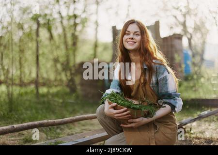 Une jeune femme nourrit ses poulets à la ferme avec de l'herbe, portant une simple chemise à carreaux, un pantalon et un tablier, et souriant pour la caméra, prenant soin de la Banque D'Images