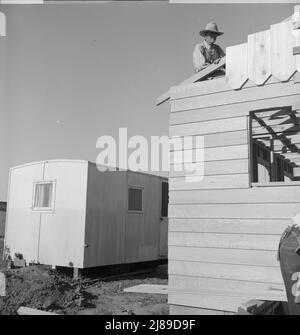 Père et fils, migrants récents en Californie, construisant une maison dans un village en croissance rapide de travailleurs de la laitue à la périphérie de la ville. Salinas, Californie. Banque D'Images