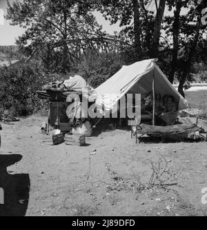 Camp de famille migratrice originaire du Texas dans "Ramblers Park". Vallée de Yakima, Washington. Banque D'Images