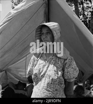 Femme migratrice, originaire du Texas. Vallée de Yakima, Washington. Banque D'Images