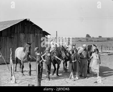 Chris Adolf, son équipe et six de ses enfants dans leur nouvelle ferme. Washington, vallée de Yakima, près de Wapato. Banque D'Images