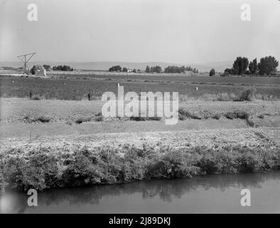 Washington, vallée de Yakima, près de Wapato. Nom de l'emprunteur, Edgar Hardt. Sur la ferme d'achat de tenant. Quarante acres, prix six mille cinquante dollars, tout le stock et la machinerie inclus. Ferme irriguée diversifiée, cultivant des raisins, des tomates, des cantaloupes et des pastèques, du maïs doux et cultivé, du foin et des céréales. Ils ont six vaches, des porcs. Banque D'Images