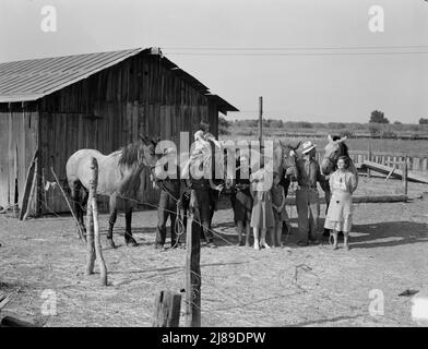 Chris Adolf, son équipe et six de ses enfants dans leur nouvelle ferme. Washington, vallée de Yakima, près de Wapato. Banque D'Images