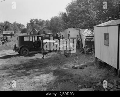 Washington, vallée de Yakima, Toppenish. Camp automobile bon marché pour les travailleurs migrants en attente de l'ouverture de la saison du saut. Old fruit tramp (20378-C) vit dans ce camp. Banque D'Images