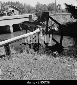 [Sans titre, peut-être lié à: Oregon, Marion County, au nord de West Stayton. Roue d'eau pour l'irrigation de champs dans le pays des haricots]. Banque D'Images