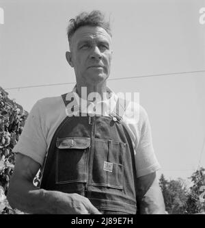 Hop Picker, autrefois propriétaire de la ferme du Nebraska. Près d'Independence, comté de Polk, Oregon. Banque D'Images