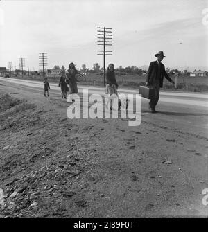 Sur les États-Unis 99. Près de Brawley, comté impérial. Famille de sept sans-abri, à pied de l'autoroute de Phoenix, Arizona, où ils ont choisi le coton. Relié à San Diego, où le père espère obtenir sur le soulagement parce qu'il a vécu là-bas. Banque D'Images