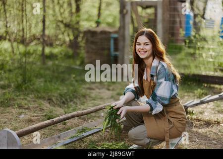 Une jeune femme nourrit ses poulets à la ferme avec de l'herbe, portant une simple chemise à carreaux, un pantalon et un tablier, et souriant pour la caméra, prenant soin de la Banque D'Images