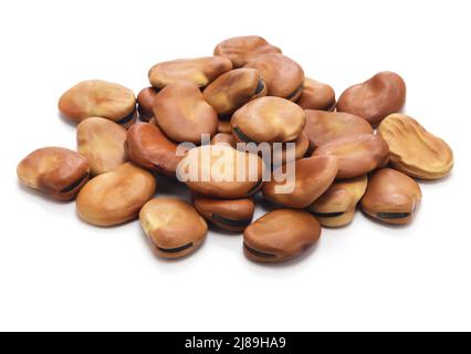 fèves de fava séchées isolées sur fond blanc Banque D'Images