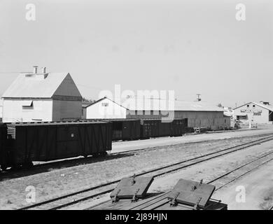 Cour de chemin de fer derrière le hangar à pommes de terre d'où les pommes de terre Klamath sont expédiées à travers le pays. Tulelake, comté de Siskiyou, Californie. Banque D'Images