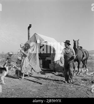 La maison Fairbanks (FSA - Administration de la sécurité agricole). Région de Willow Creek, comté de Malheur, Oregon. Banque D'Images