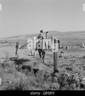 [Sans titre, peut-être lié à: La famille Fairbanks a déménagé à trois endroits différents sur le projet en un an. Région de Willow Creek, comté de Malheur, Oregon]. Banque D'Images