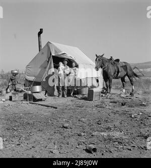 La maison Fairbanks (FSA - Administration de la sécurité agricole). Région de Willow Creek, comté de Malheur, Oregon. Banque D'Images