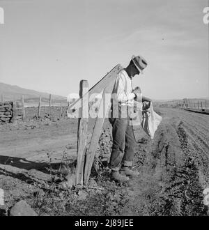 Agriculteur qui reçoit le courrier du matin. Comté de GEM, Idaho. Banque D'Images