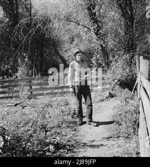 [Sans titre, peut-être lié à: Roy Carlock, membre de la coopérative de scierie d'auto-assistance d'Ola Il est l'un des meilleurs chasseurs de la communauté et garde sa larde bien approvisionnée pendant la saison de chasse. GEM County, Idaho]. Banque D'Images