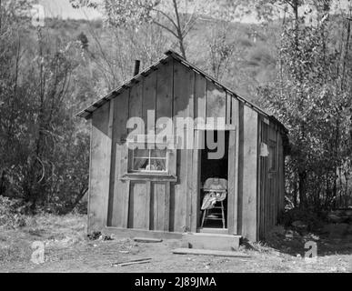 Siège d'un membre de la coopérative de scierie d'Ola Self-Help, comté de Gem, Idaho. "Elle aime s'asseoir dans la porte et regarder les oies." Banque D'Images