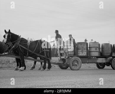 [Sans titre, peut-être lié à: L'agriculteur et son garçon transportant de l'eau à des fins domestiques et de boisson à la ferme de souche. Comté de Boundary, Idaho]. Banque D'Images