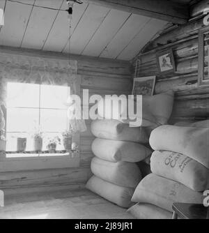 Intérieur de la maison en rondins de deux chambres du fermier. Emprunteur de la FSA (Farm Security Administration). Ils ont leurs graines de luzerne stockées dans le coin en attendant un meilleur prix. Comté de Boundary, Idaho. Banque D'Images