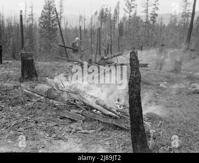 Travail de famille, défrichement de terres par brûlage. Près de Bonners Ferry, comté de Boundary, Idaho. Banque D'Images