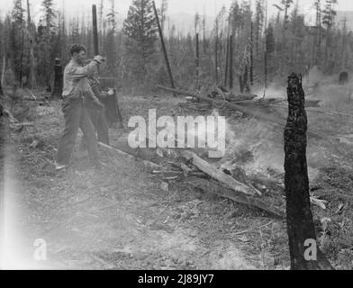 Travail familial défrichement de terres par brûlage. Près de Bonners Ferry, comté de Boundary, Idaho. Banque D'Images