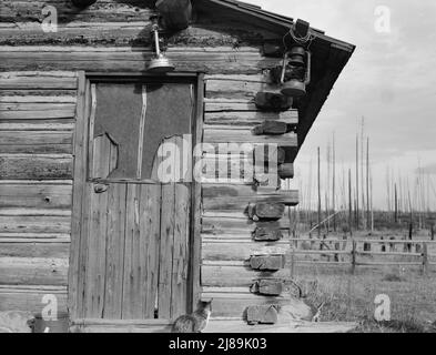 Accueil du journal. Ferme établie il y a six ans. Péninsule de la rivière prêtre, comté de Bonner, Idaho. Banque D'Images