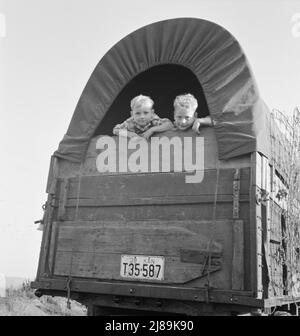 Je viens de venir du Kansas. Sur l'autoroute pour la récolte de pommes de terre. Près de Merrill, Klamath County, Oregon. Banque D'Images