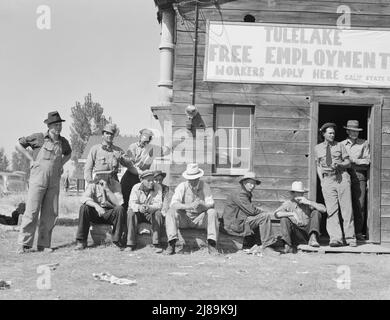 Bureau du Service de l'emploi de l'État de Californie. Tulelake, comté de Siskiyou, Californie. Ce bureau est à 500 mètres du camp des cueilleurs de pommes de terre. Ce bureau a effectué 2 452 placements individuels auprès des producteurs en cinq semaines (saison 1938). [Signe: 'Tulelake Free Employment Service - les travailleurs postulez ici']. Banque D'Images