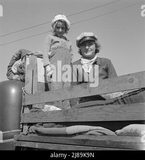 Une partie de la famille vient pour le travail dans les pommes de terre. Tulelake, comté de Siskiyou, Californie. Ils ont quitté leur maison en Turquie, au Texas, en novembre 1938. Coton cueilli en Arizona jusqu'au mois de mars. Fruits cueillis dans l'Oregon jusqu'en juin. Pruneaux cueillis dans l'Idaho jusqu'en septembre 15th. Banque D'Images